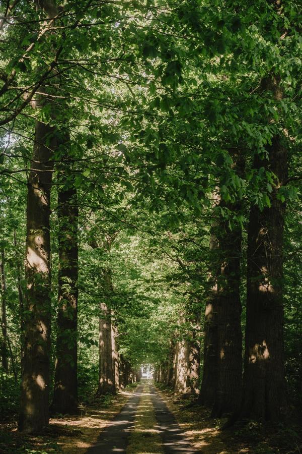 Villa Parkbos De Pinte エクステリア 写真